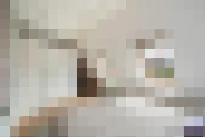 Madelief 9 Pijnacker thumbnail 27
