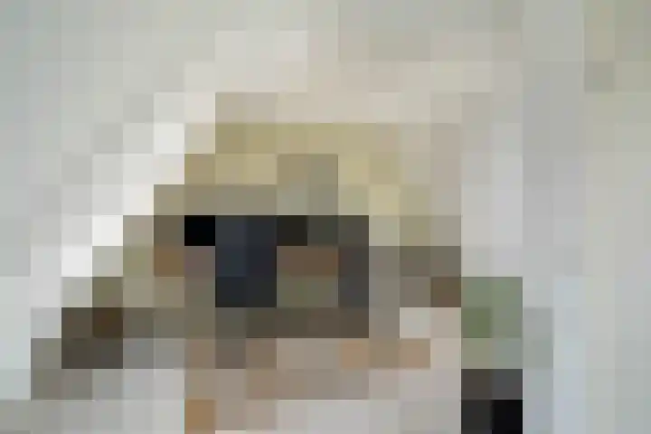 Madelief 9 Pijnacker thumbnail 34