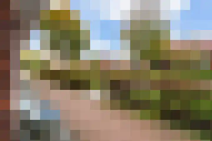 Madelief 9 Pijnacker thumbnail 37