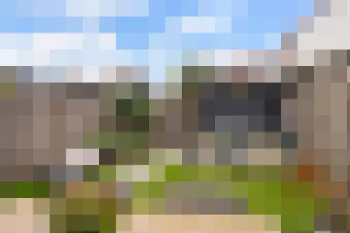 Madelief 9 Pijnacker thumbnail 4