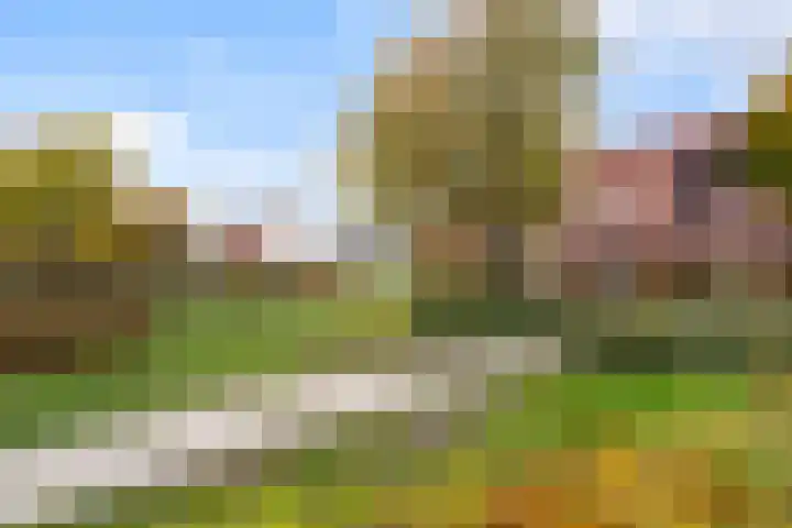 Madelief 9 Pijnacker thumbnail 40