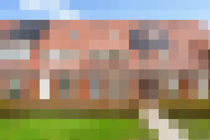 Madelief 9 Pijnacker thumbnail 5