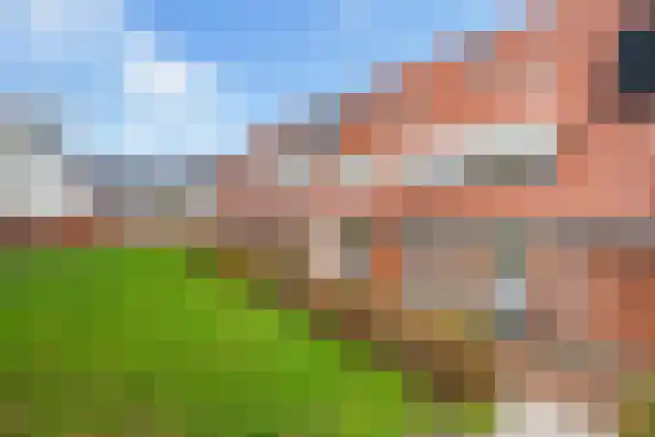 Madelief 9 Pijnacker thumbnail 6