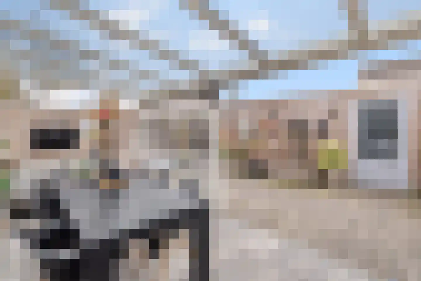 Madeliefberg 33 Roosendaal thumbnail 4
