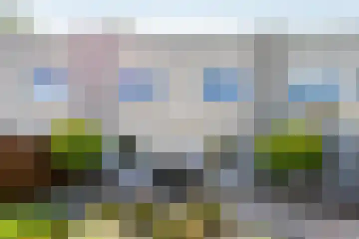 Madeliefberg 61 Roosendaal thumbnail 31
