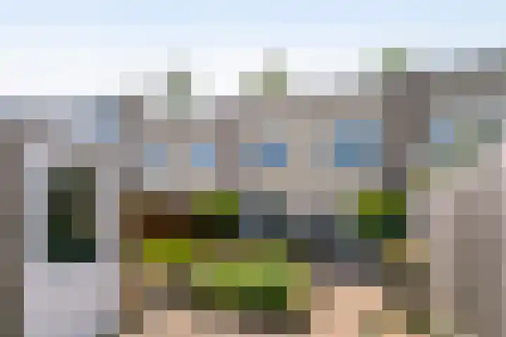 Madeliefberg 61 Roosendaal thumbnail 32