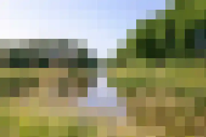 Madeliefberg 61 Roosendaal thumbnail 35