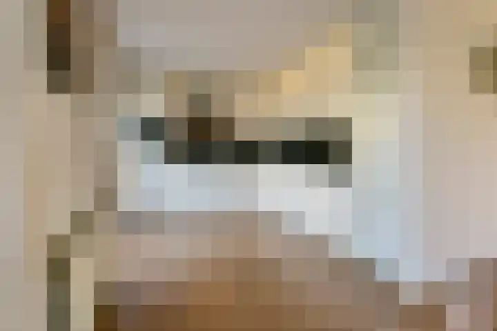 Madeliefberg 61 Roosendaal thumbnail 5