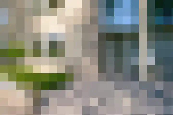 Madeliefberg 61 Roosendaal thumbnail 6
