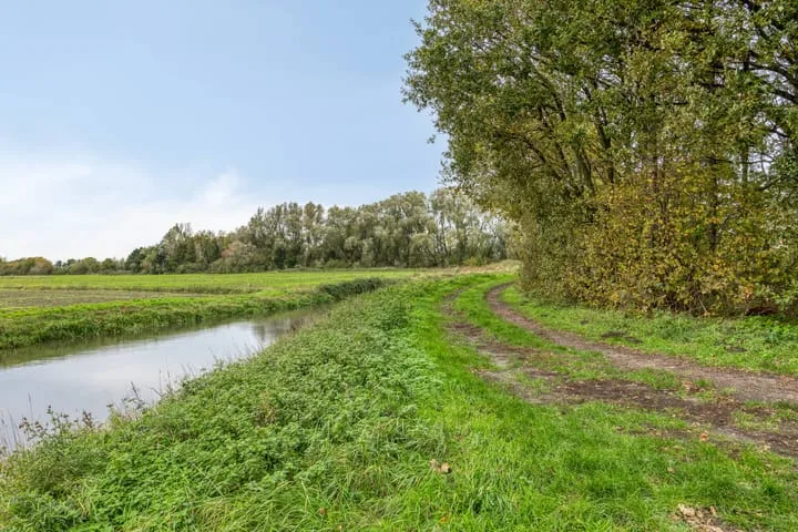 Madeliefberg 62 Roosendaal thumbnail 48