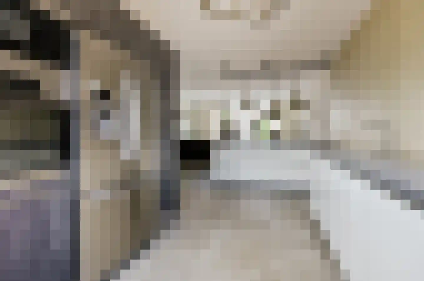 Madeliefdreef 11 Harderwijk thumbnail 13