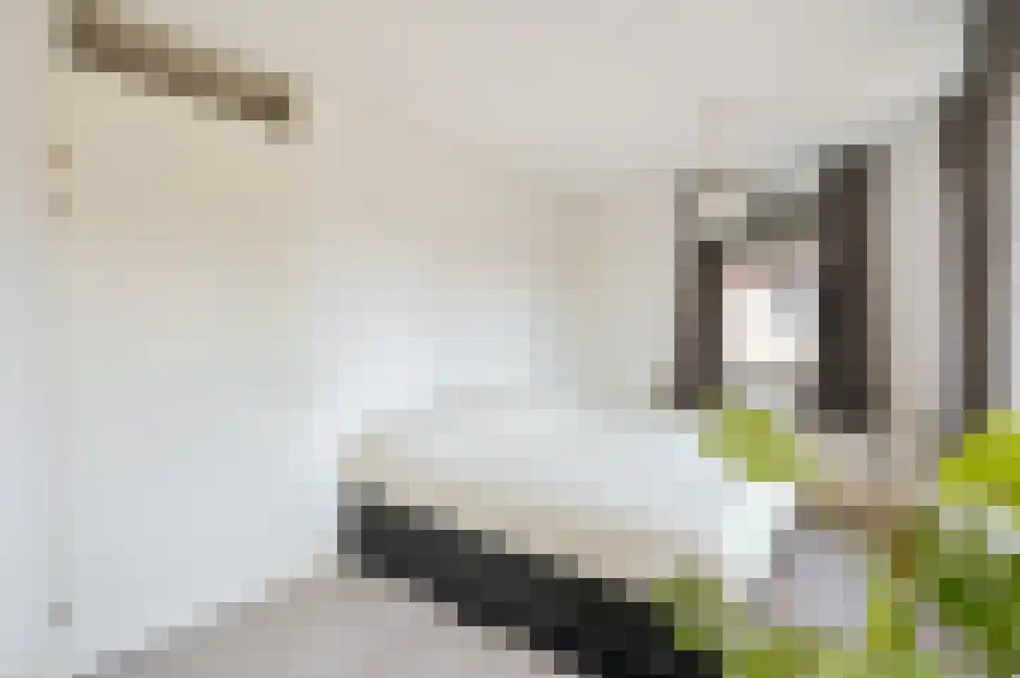 Madeliefdreef 11 Harderwijk thumbnail 18