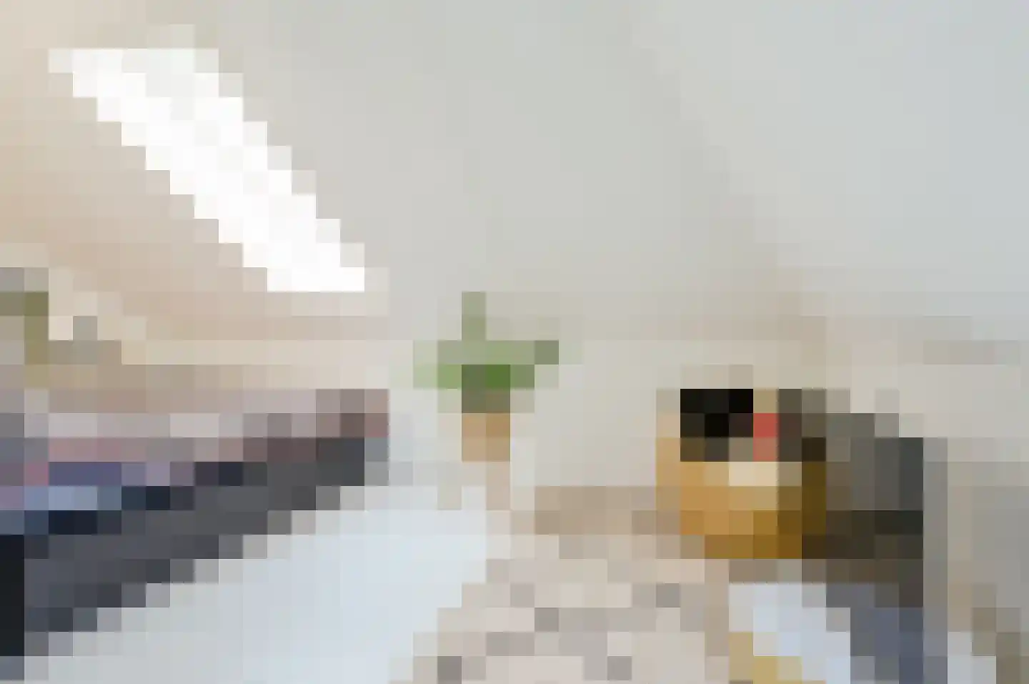 Madeliefdreef 11 Harderwijk thumbnail 27
