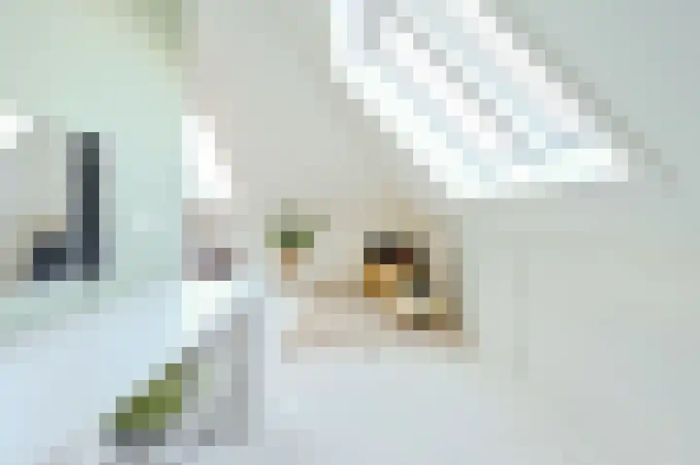 Madeliefdreef 11 Harderwijk thumbnail 30