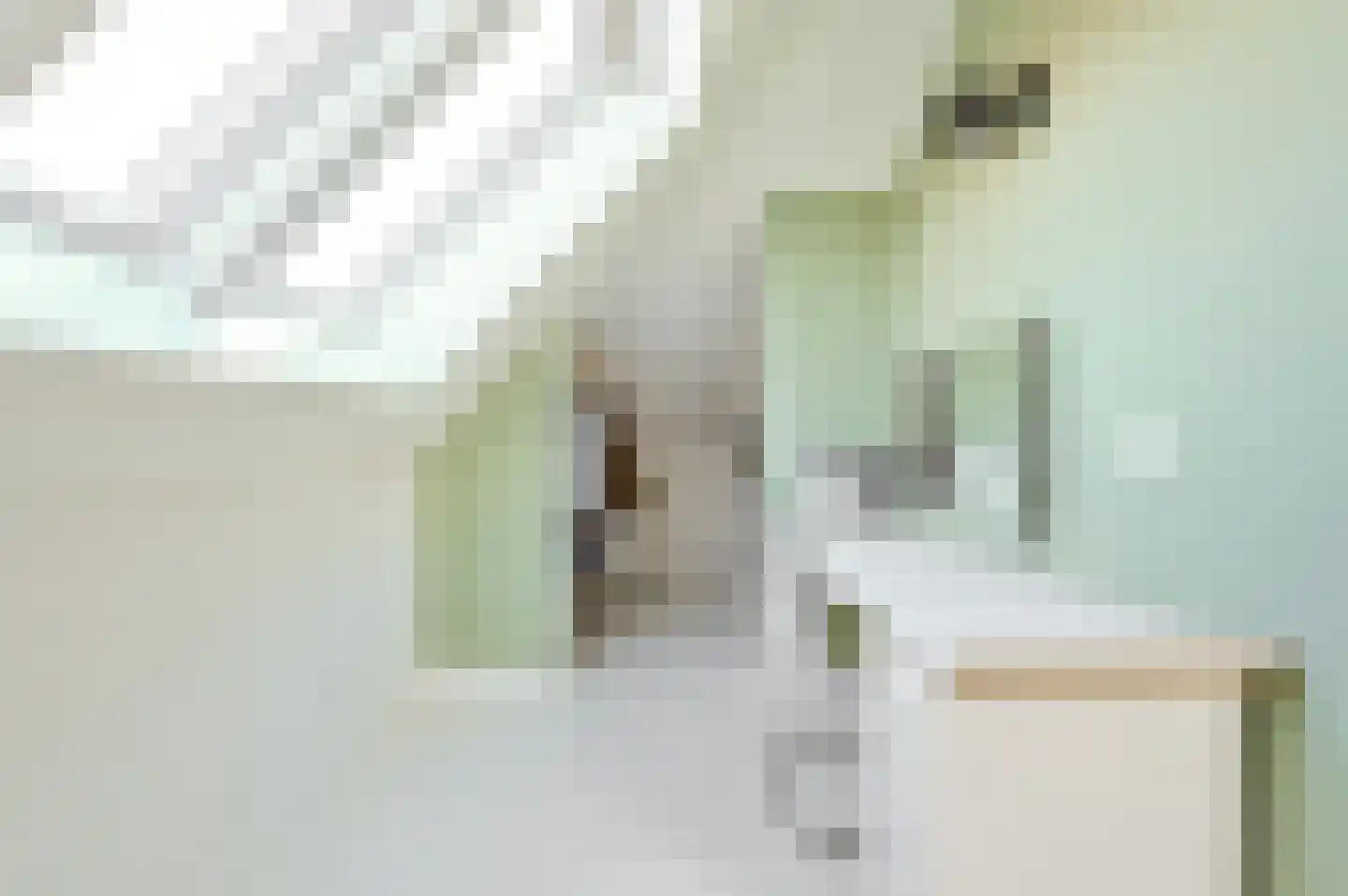 Madeliefdreef 11 Harderwijk thumbnail 31