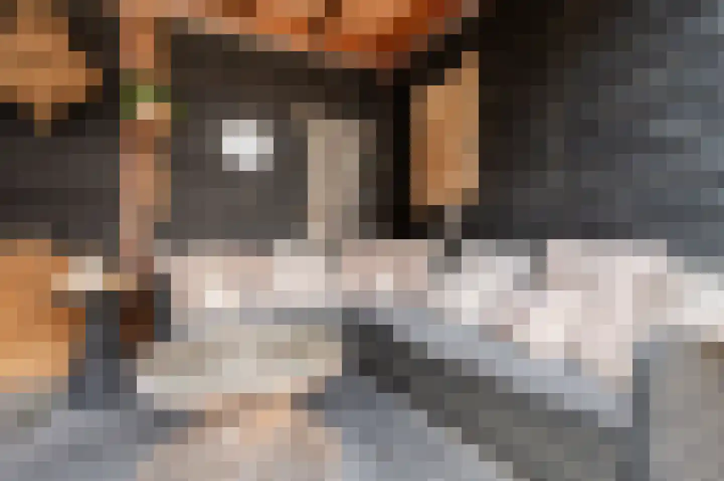 Madeliefdreef 11 Harderwijk thumbnail 34