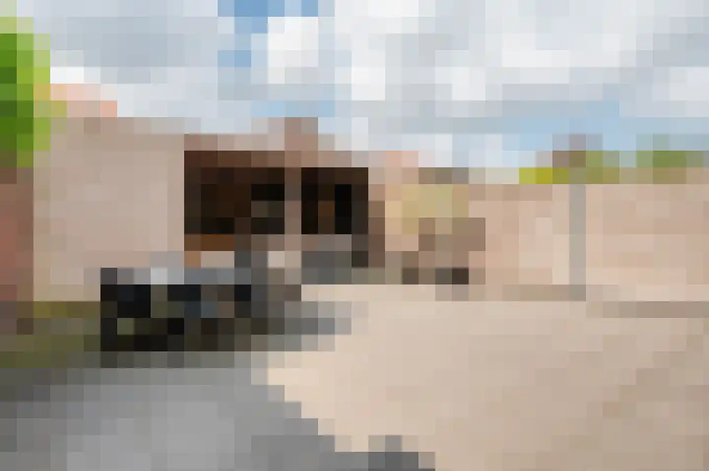 Madeliefdreef 11 Harderwijk thumbnail 38