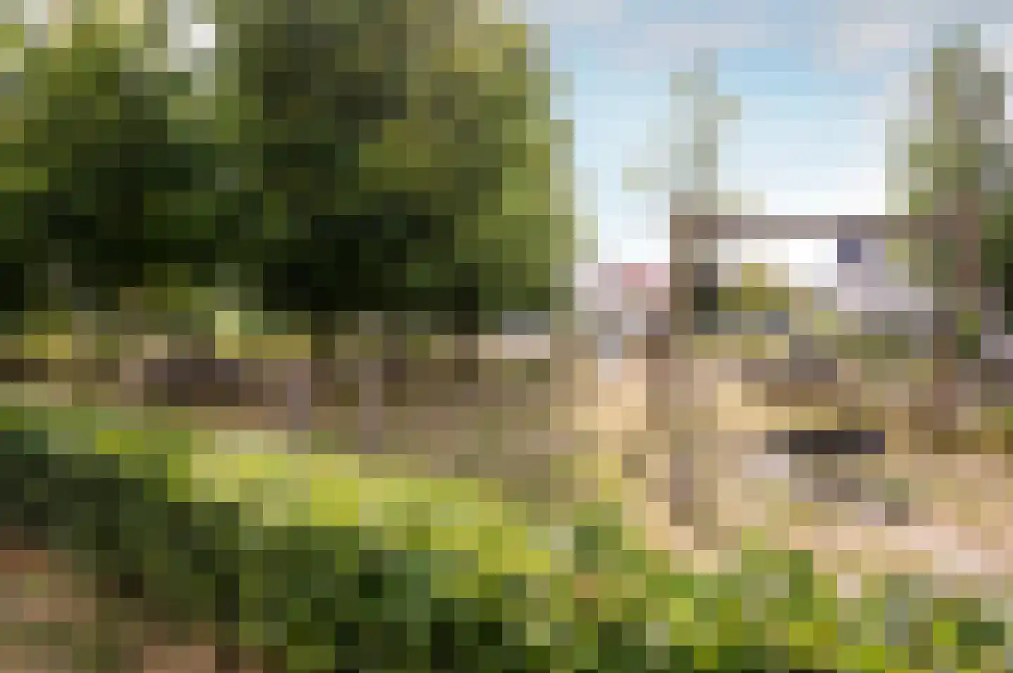 Madeliefdreef 11 Harderwijk thumbnail 44