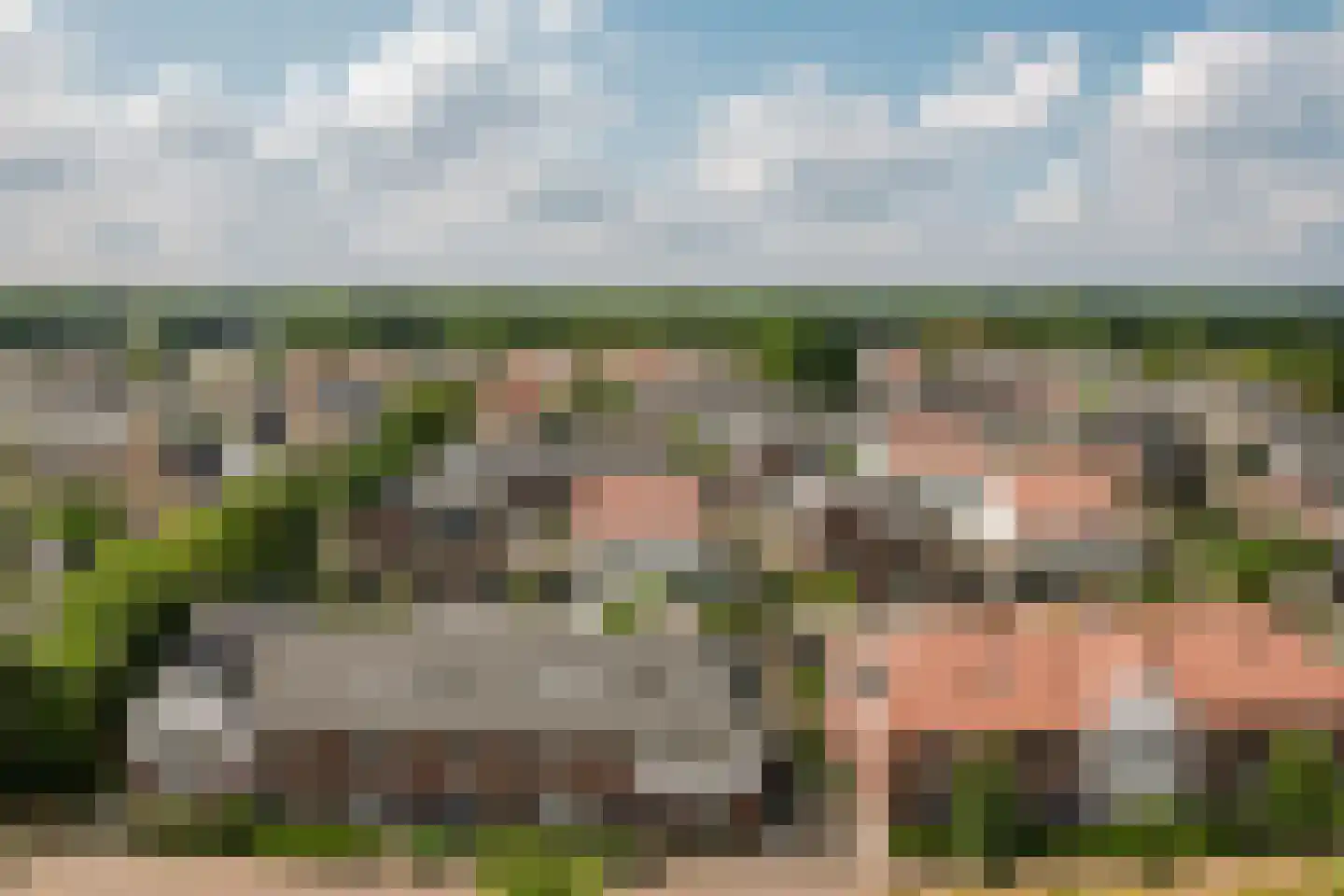 Madeliefdreef 11 Harderwijk thumbnail 48
