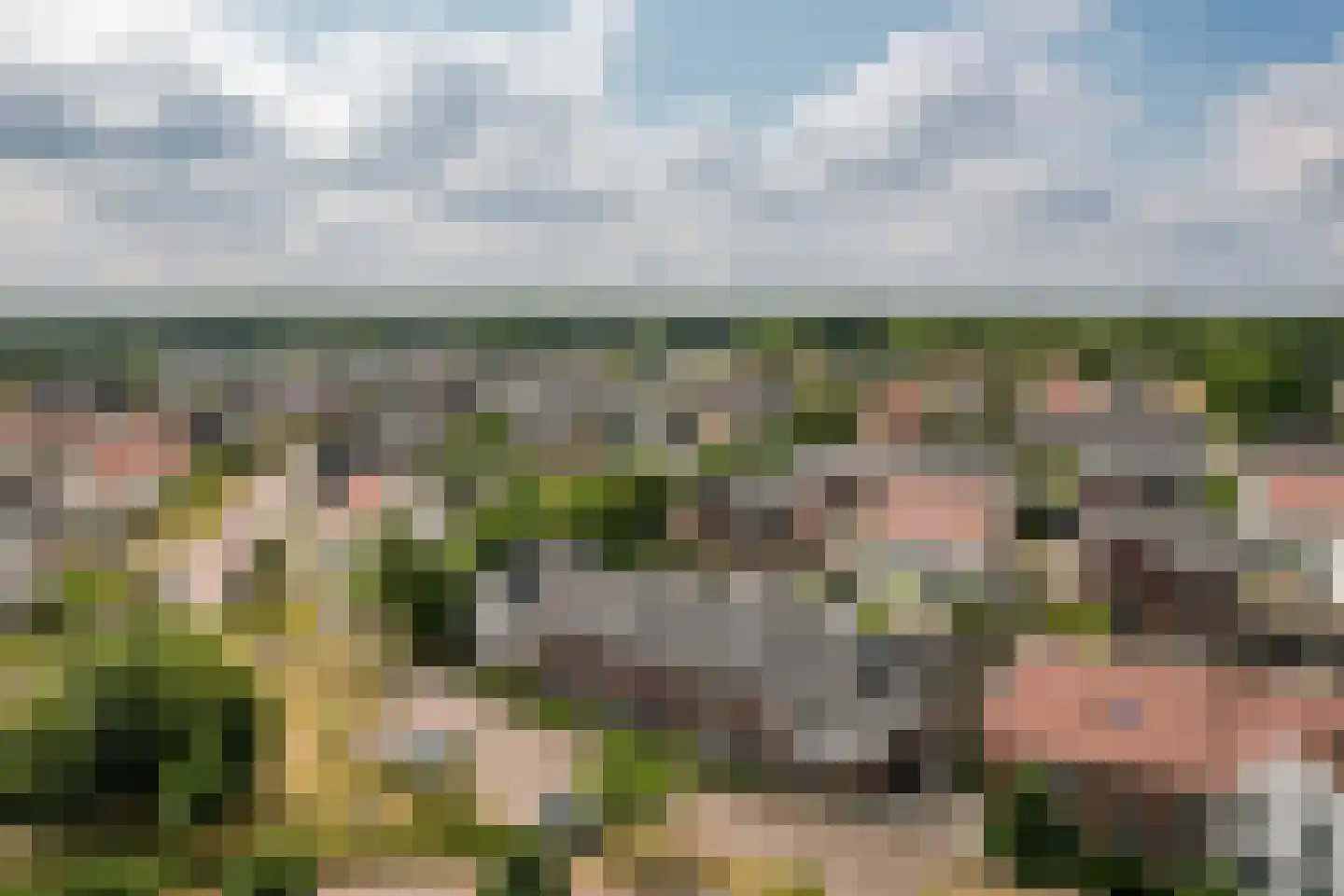 Madeliefdreef 11 Harderwijk thumbnail 49