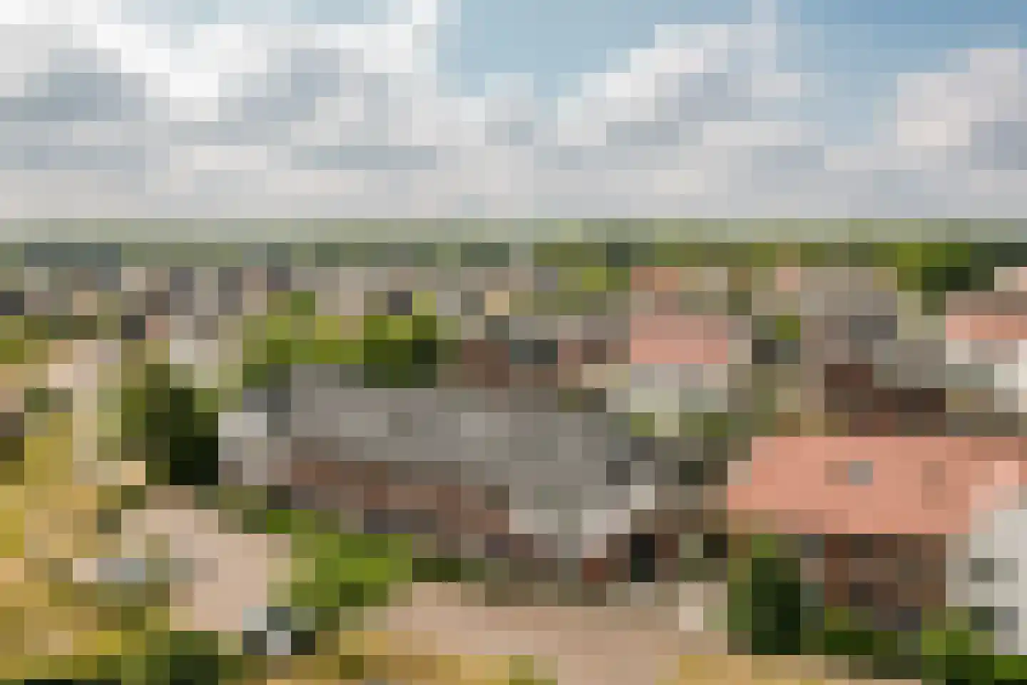 Madeliefdreef 11 Harderwijk thumbnail 50