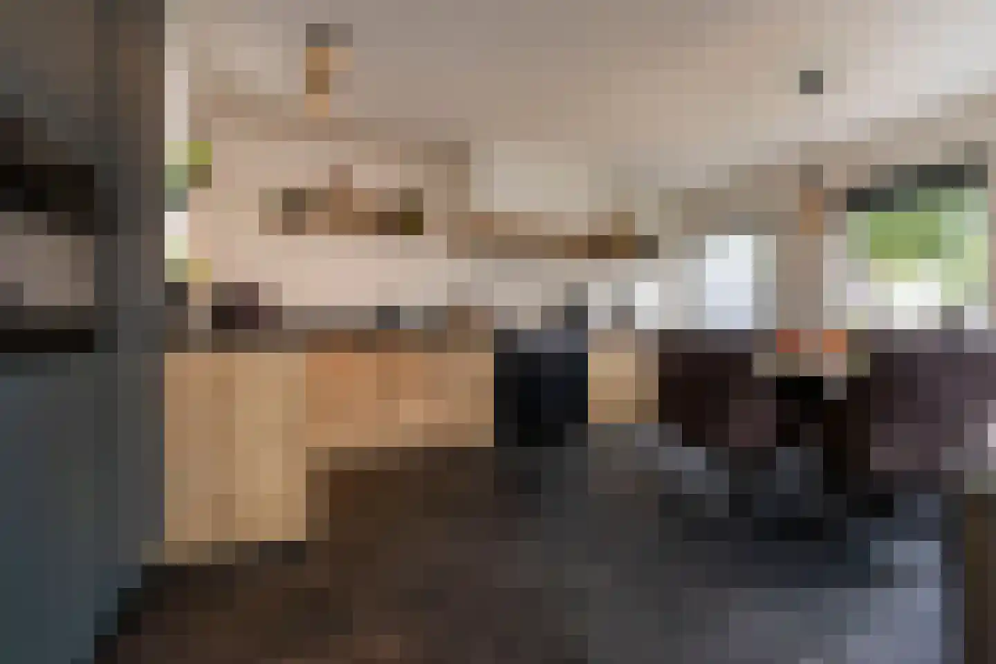 Madeliefhof 1 Weert thumbnail 16