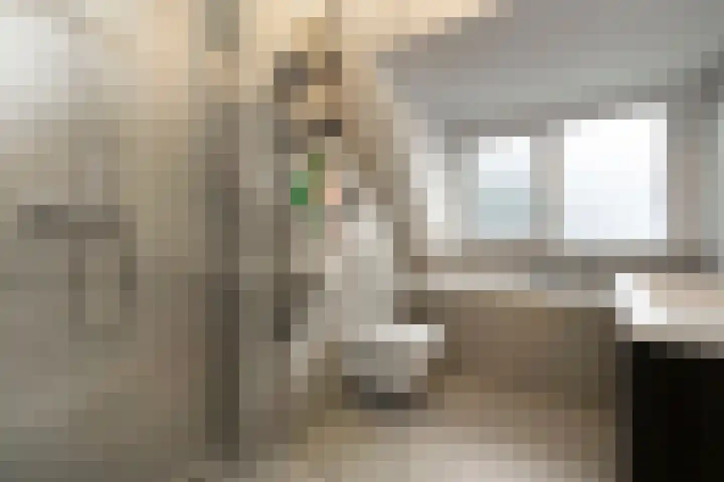 Madeliefhof 1 Weert thumbnail 23
