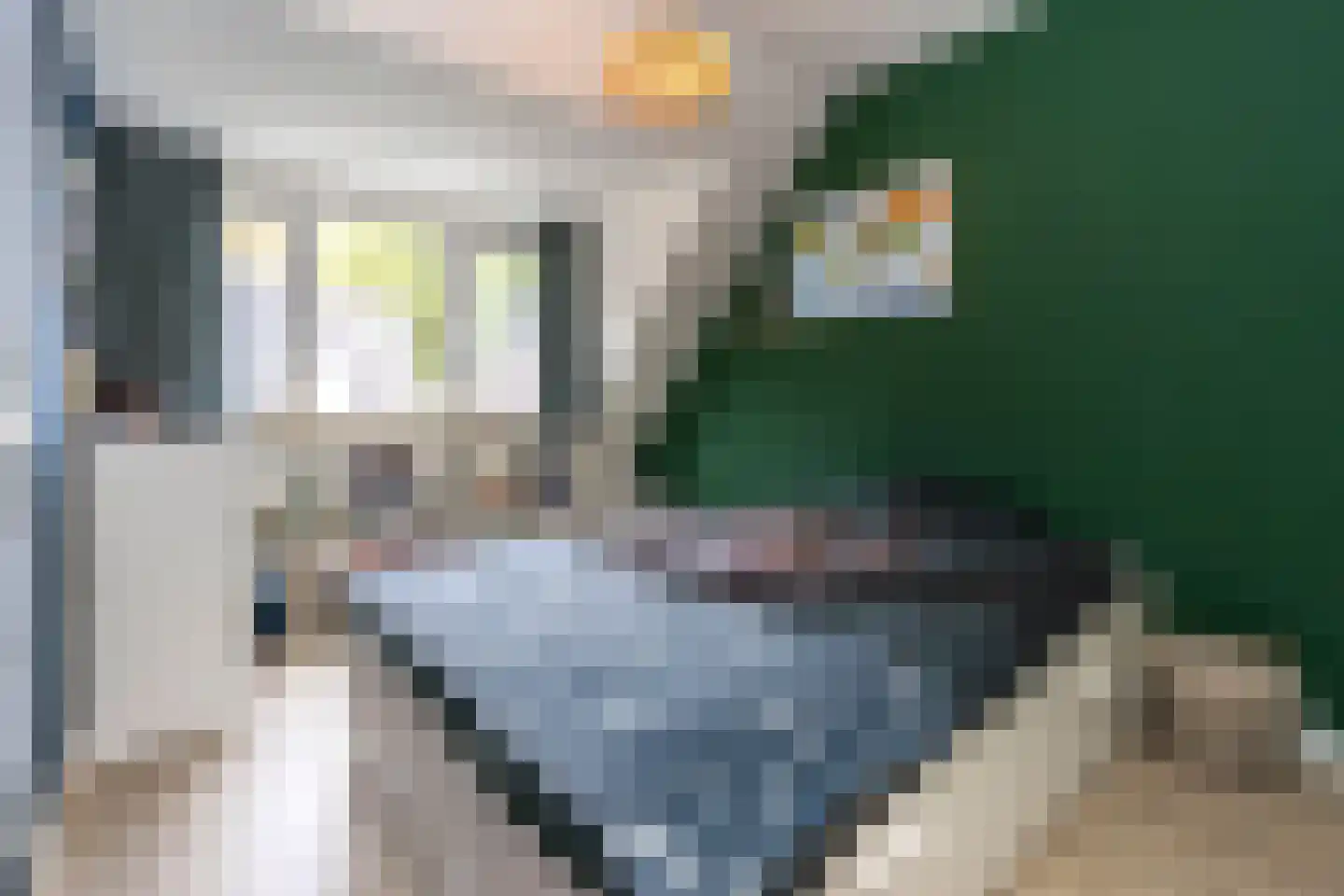 Madeliefhof 1 Weert thumbnail 27