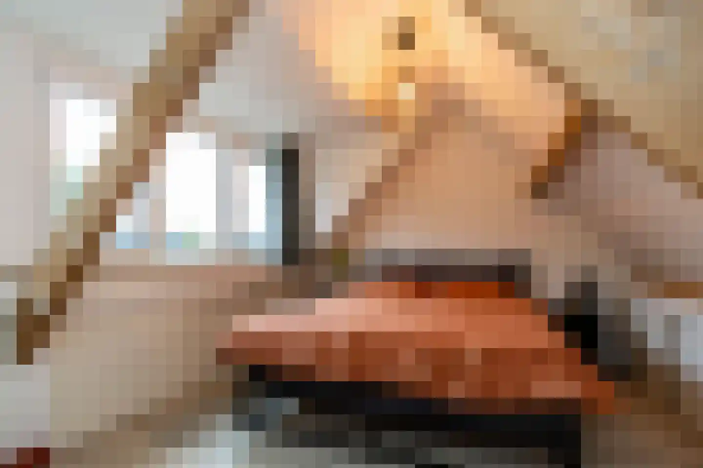 Madeliefhof 1 Weert thumbnail 36
