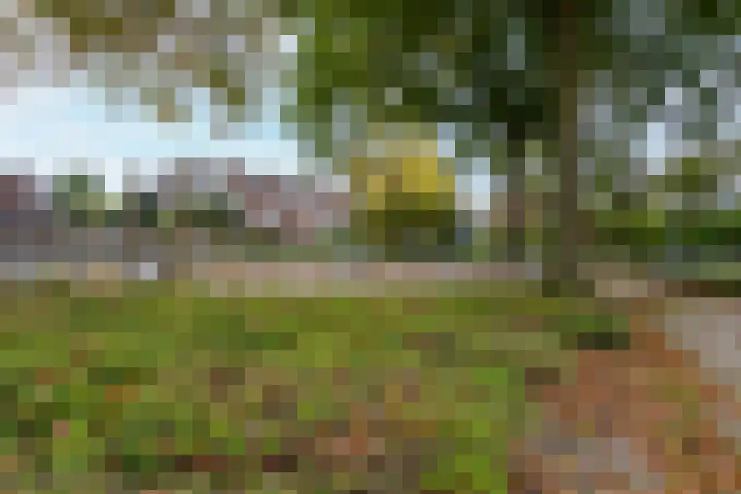 Madeliefhof 1 Weert thumbnail 41