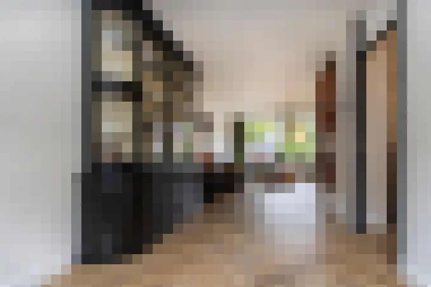 Madeliefhof 1 Weert thumbnail 8