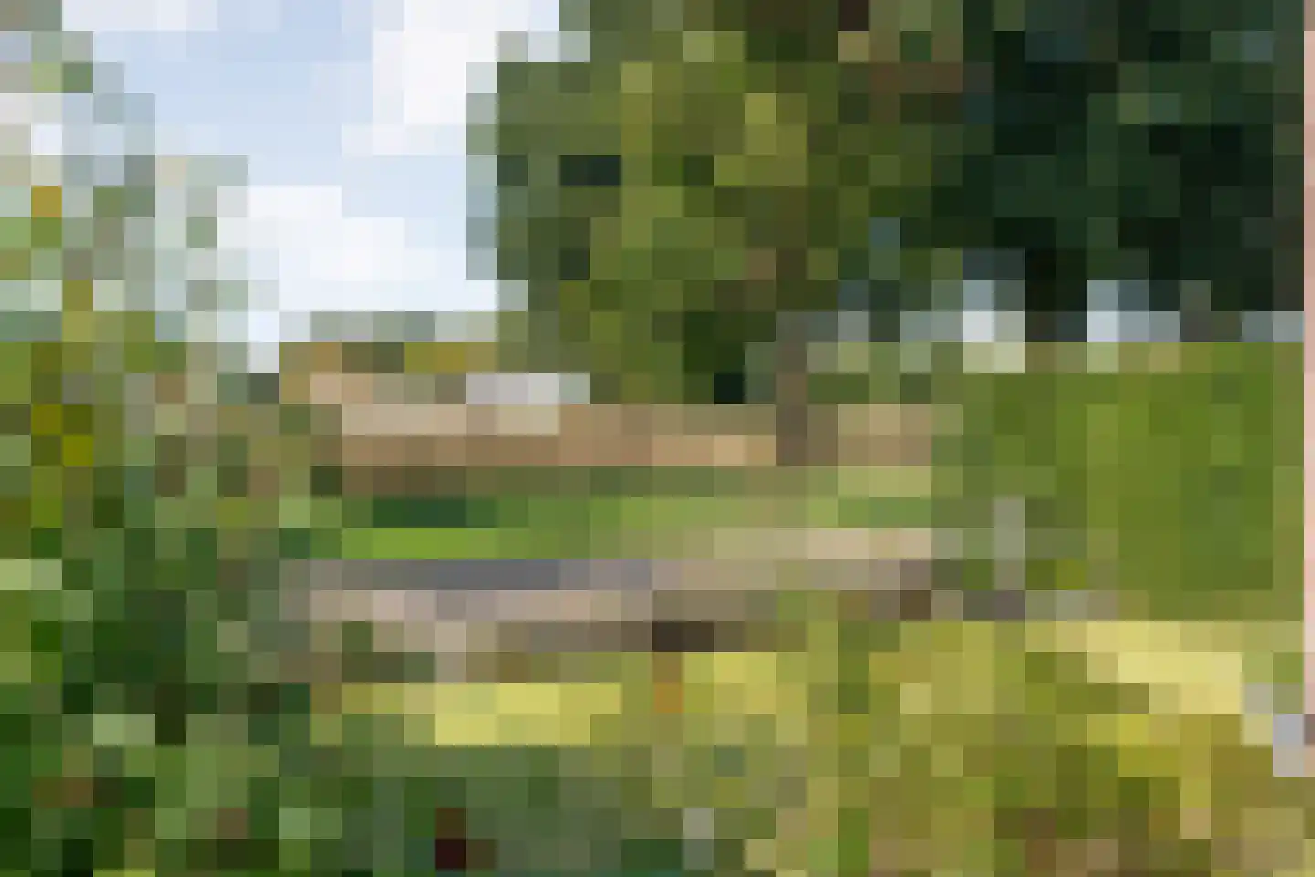 Madeliefje 15 Hardenberg thumbnail 10