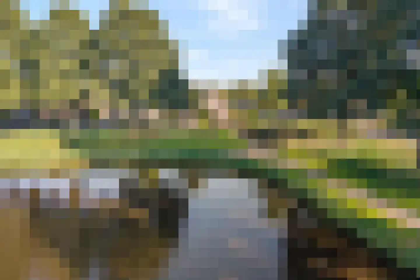 Madeliefje 15 Hardenberg thumbnail 11