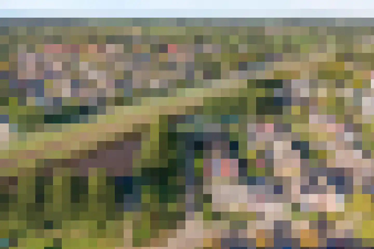 Madeliefje 15 Hardenberg thumbnail 12