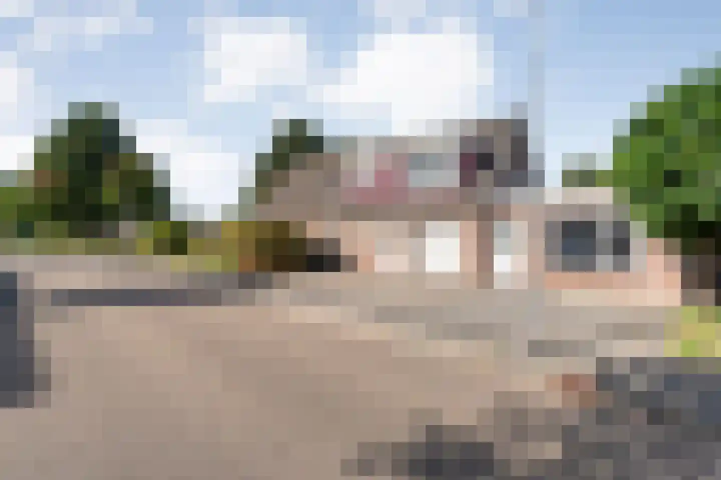 Madeliefje 15 Hardenberg thumbnail 16