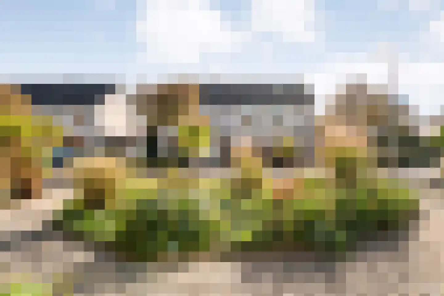 Madeliefje 15 Hardenberg thumbnail 17