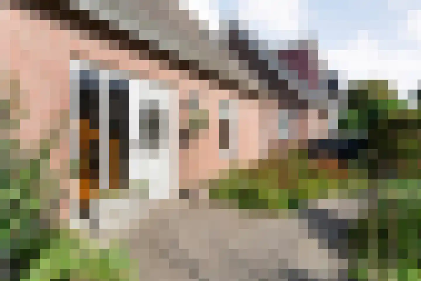 Madeliefje 15 Hardenberg thumbnail 19