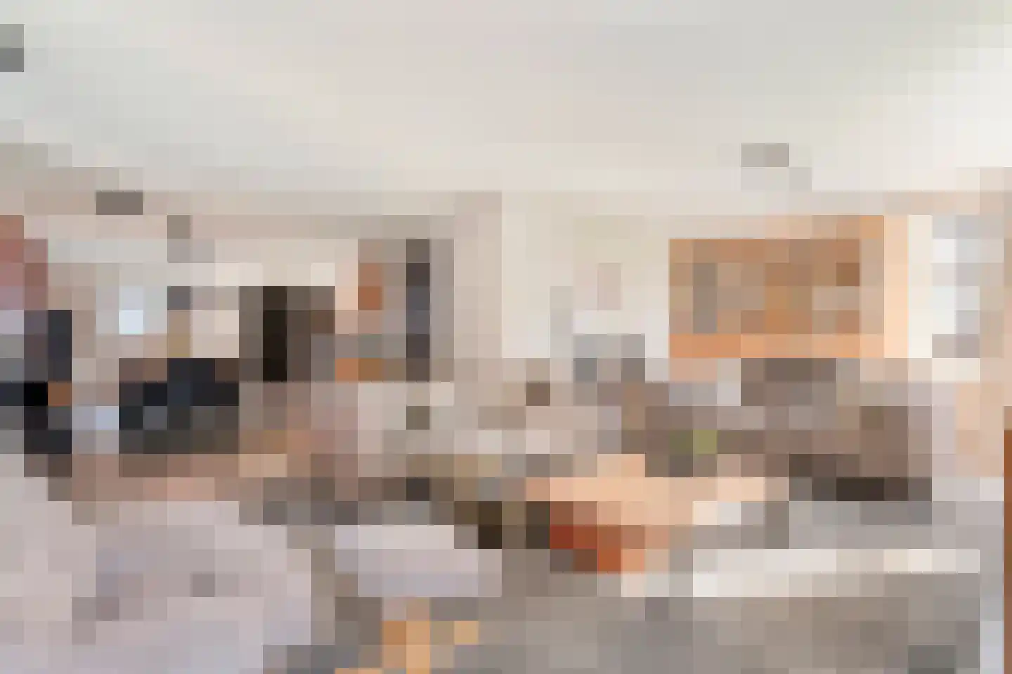Madeliefje 15 Hardenberg thumbnail 25