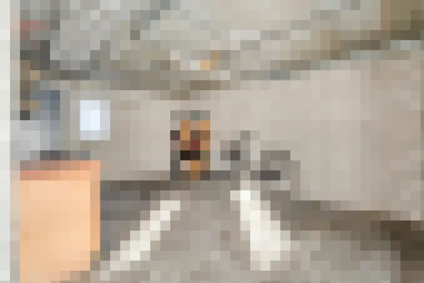 Madeliefje 15 Hardenberg thumbnail 39
