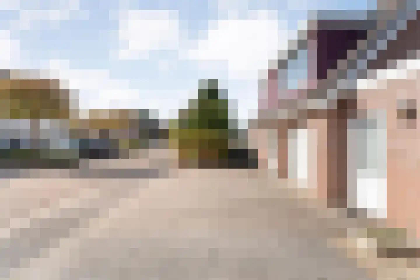 Madeliefje 15 Hardenberg thumbnail 57