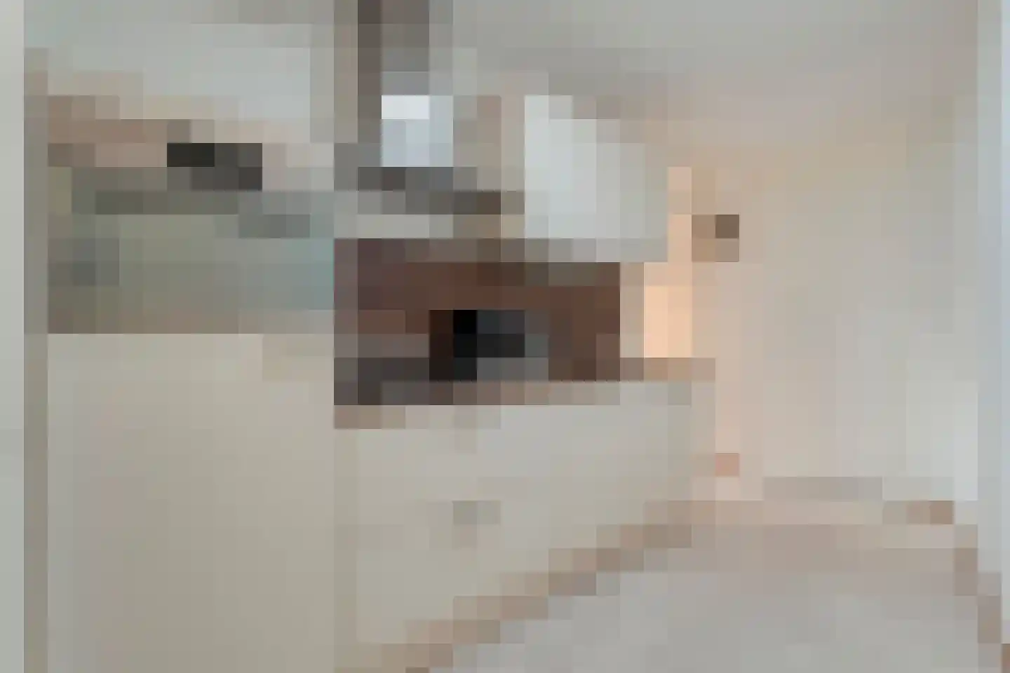 Madeliefje 15 Hardenberg thumbnail 63