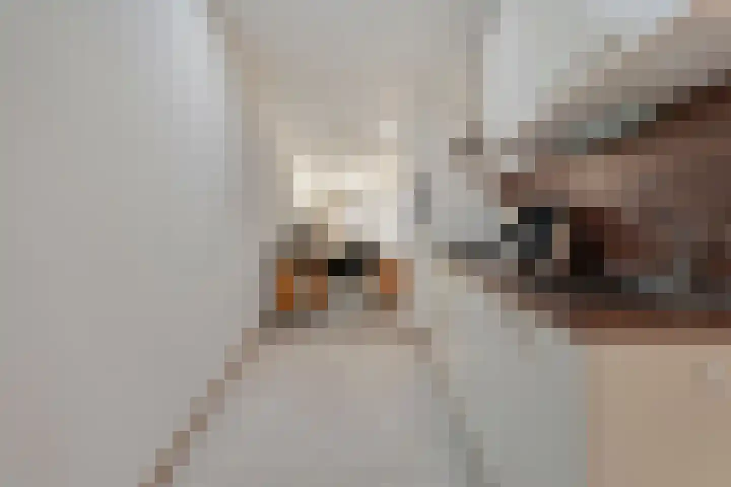Madeliefje 15 Hardenberg thumbnail 64