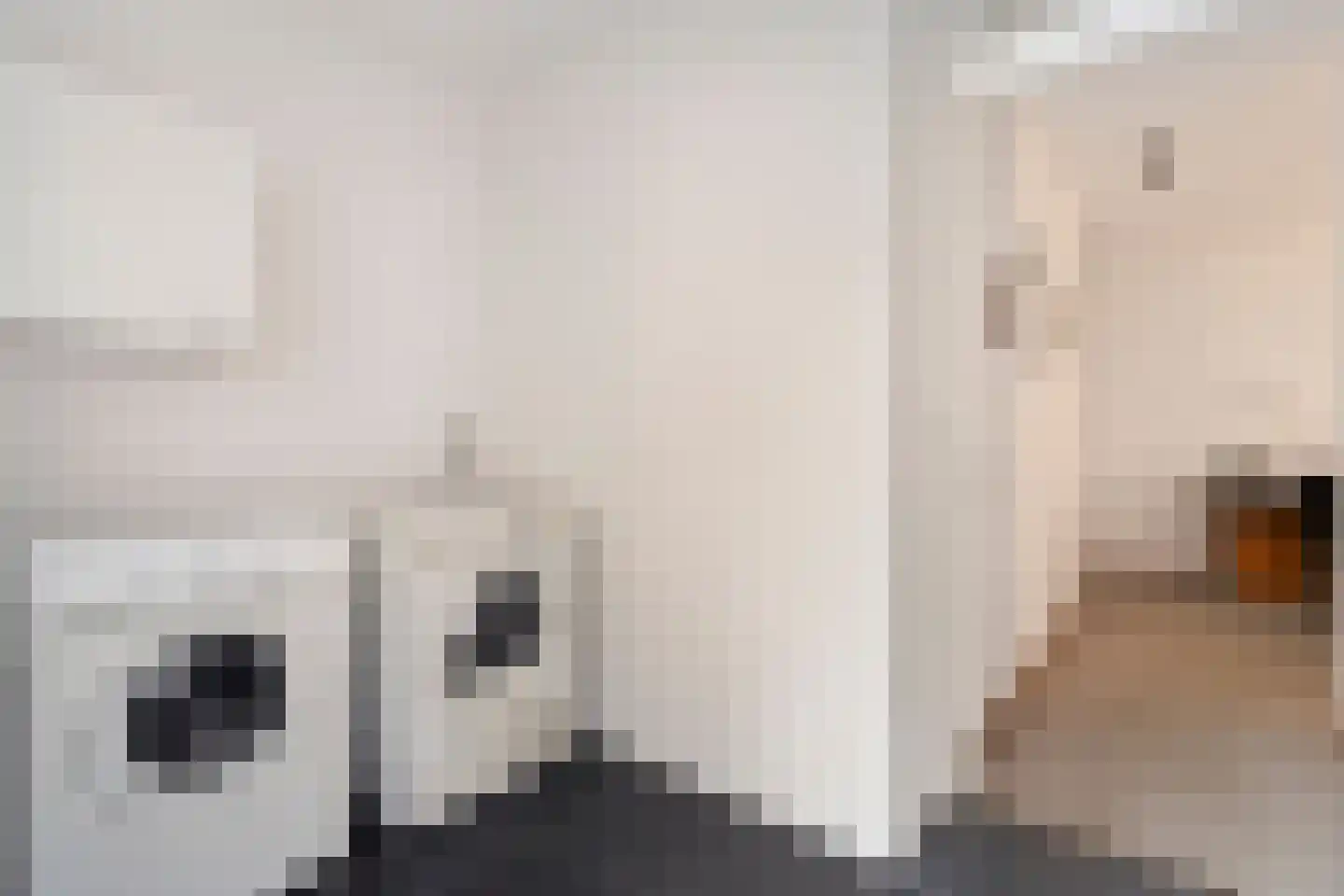 Madeliefje 15 Hardenberg thumbnail 69
