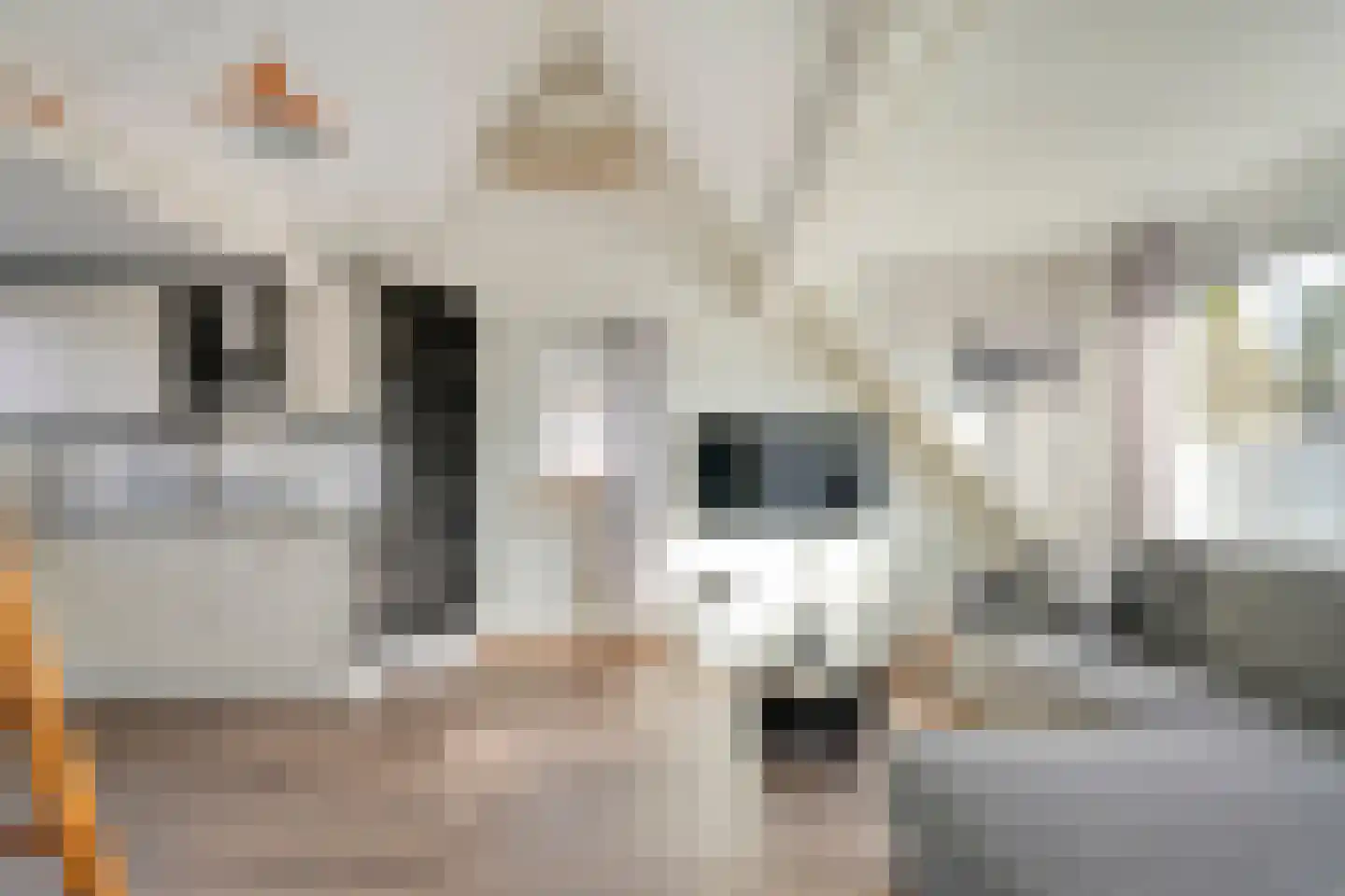 Madeliefje 15 Hardenberg thumbnail 73