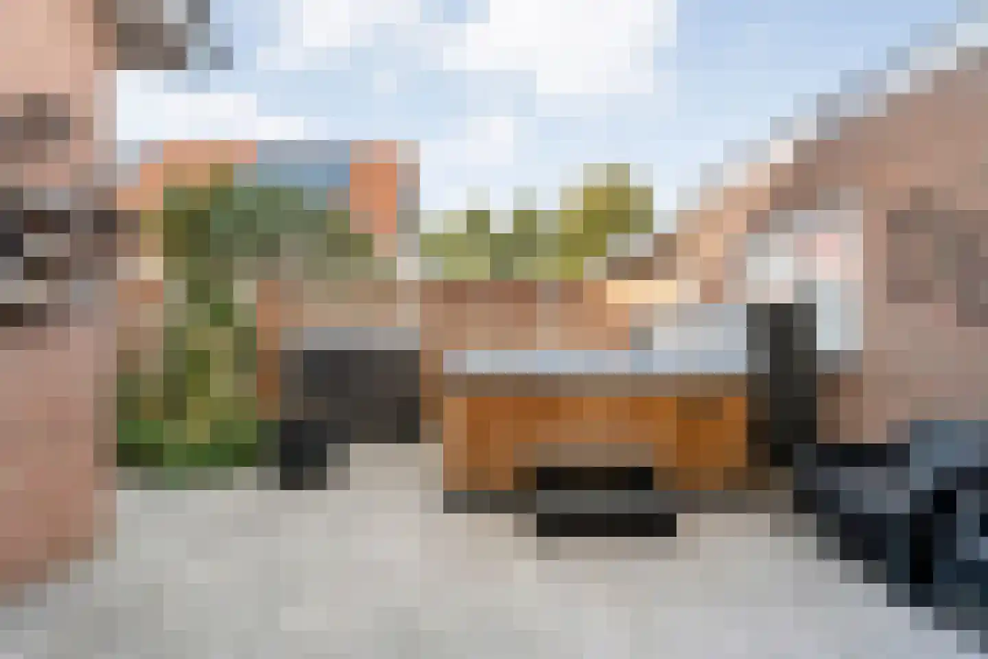 Madeliefje 15 Hardenberg thumbnail 83