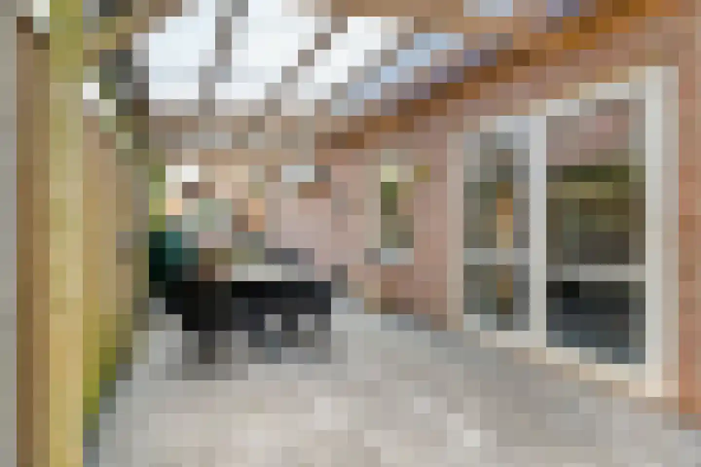 Madeliefje 15 Hardenberg thumbnail 87