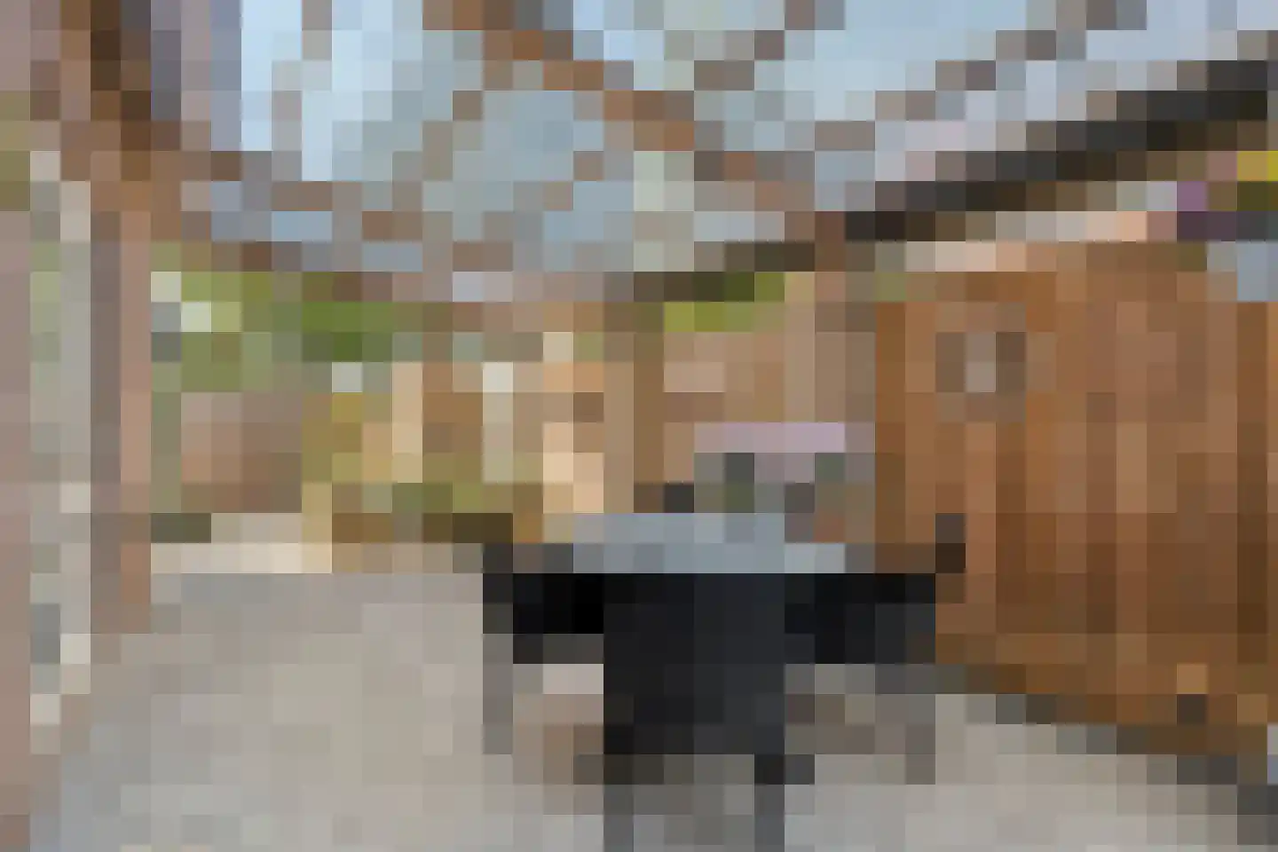 Madeliefje 15 Hardenberg thumbnail 88