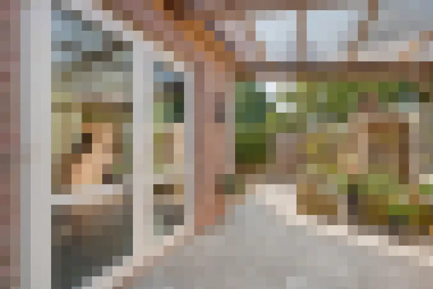 Madeliefje 15 Hardenberg thumbnail 89