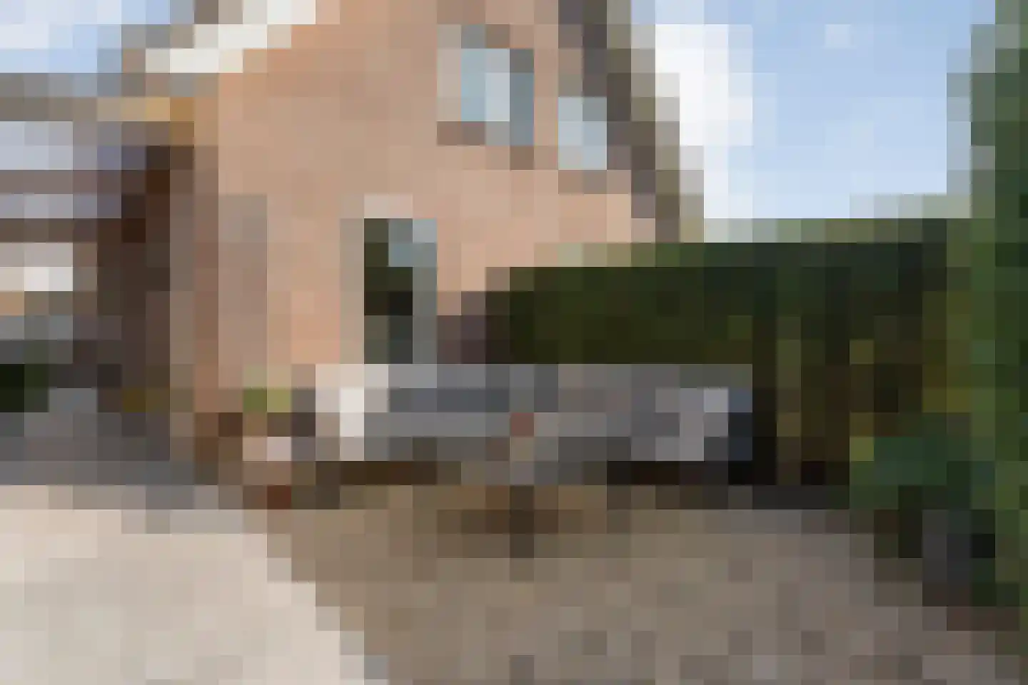 Madeliefje 15 Hardenberg thumbnail 91