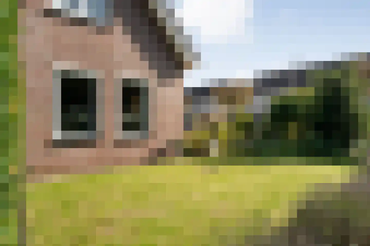 Madeliefje 15 Hardenberg thumbnail 93